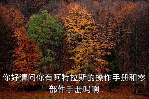 你好请问你有阿特拉斯的操作手册和零部件手册吗啊