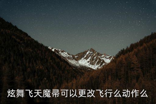 炫舞飞天魔帚可以更改飞行么动作么