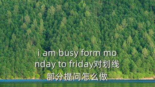 i am busy form monday to friday对划线部分提问怎么做