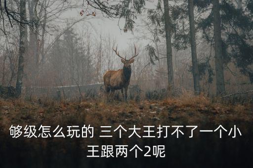 够级怎么玩的 三个大王打不了一个小王跟两个2呢