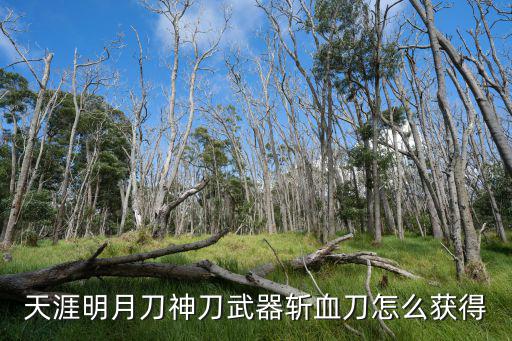 天涯明月刀手游神刀怎么起手，天涯明月刀怎么起跳在空中飞一段时间