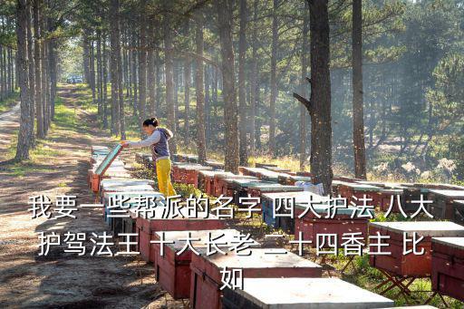 我要一些帮派的名字 四大护法 八大护驾法王 十大长老 二十四香主 比如