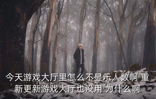 今天游戏大厅里怎么不显示人数啊 重新更新游戏大厅也没用 为什么啊