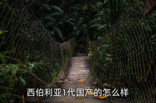 西伯利亚1代国产的怎么样