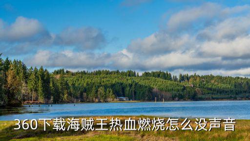 360下载海贼王热血燃烧怎么没声音