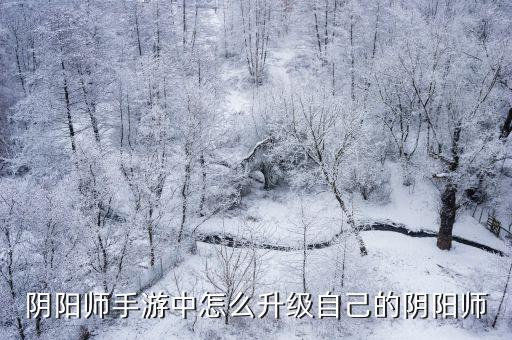 阴阳师手游中怎么升级自己的阴阳师