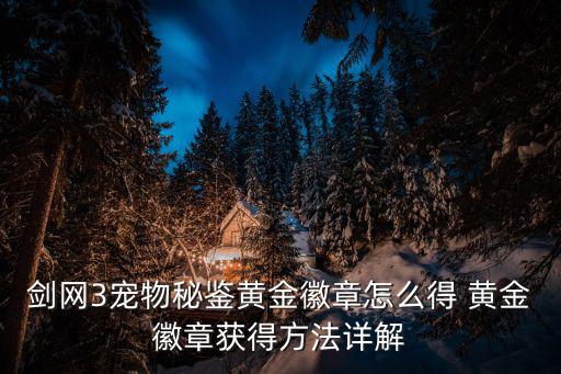 剑网3宠物秘鉴黄金徽章怎么得 黄金徽章获得方法详解