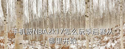 nba 2k17手游怎么样玩，手机版NBA2k17怎么玩季后赛从哪里开始