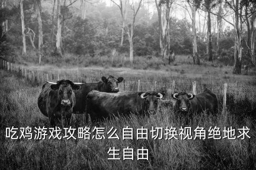 吃鸡手游自定义视角怎么设置，苹果吃鸡跳伞设置视角怎么设置