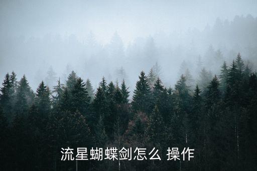 流星蝴蝶剑怎么 操作