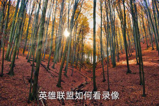 英雄联盟如何看录像