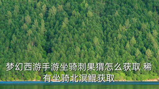 梦幻西游手游坐骑刺果猬怎么获取 稀有坐骑北溟鲲获取