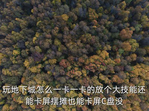 玩地下城怎么一卡一卡的放个大技能还能卡屏摆摊也能卡屏C盘没
