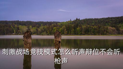 手游吃鸡听声辩位声音怎么调，有偿求助绝地求生罗技G430耳机要怎么设置听声辩位