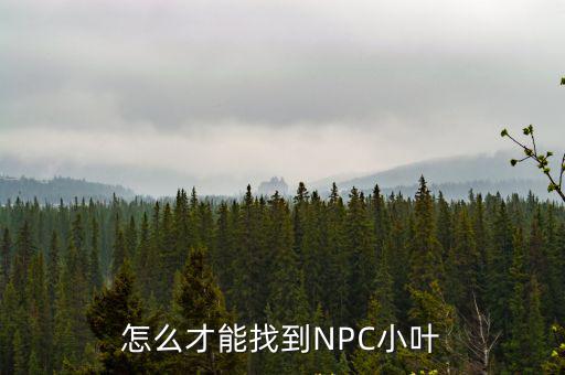 奥比岛手游怎么去小叶的家，怎么去小叶那里