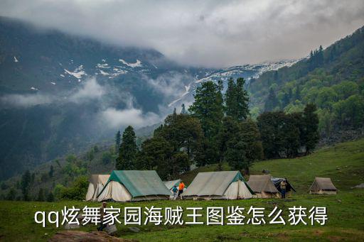 炫舞手游高档图鉴怎么收集，qq炫舞手游怎样隐藏图鉴