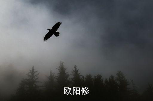 天刀手游家园天下怎么触发，奇迹世界在哪里接谁的书任务