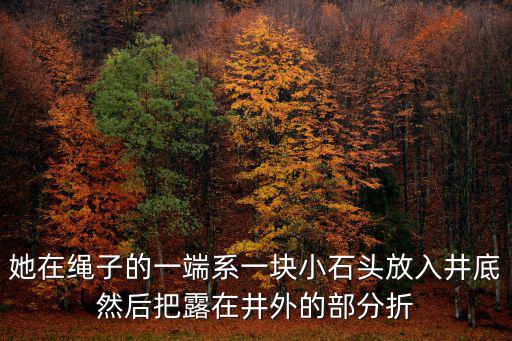 原神手游绀田村井底石头怎么打，她在绳子的一端系一块小石头放入井底然后把露在井外的部分折