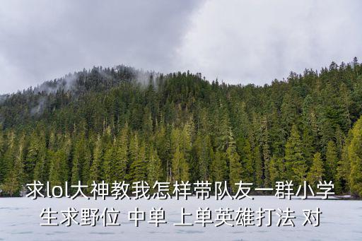 求lol大神教我怎样带队友一群小学生求野位 中单 上单英雄打法 对