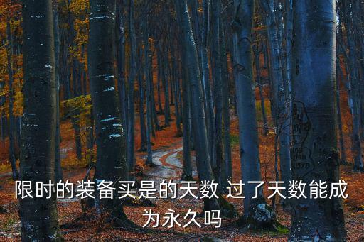 限时的装备买是的天数 过了天数能成为永久吗