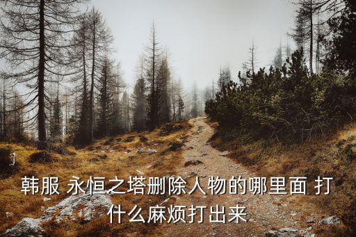 韩服 永恒之塔删除人物的哪里面 打什么麻烦打出来