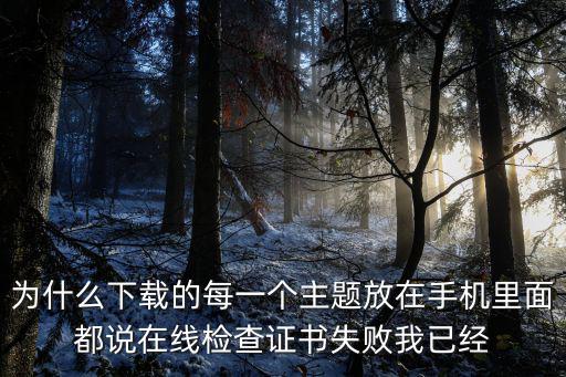 为什么下载的每一个主题放在手机里面都说在线检查证书失败我已经
