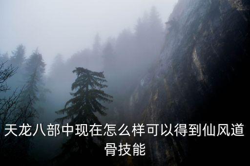 天龙八部中现在怎么样可以得到仙风道骨技能