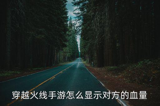 手游怎么可以看敌人的血量，CF手游怎么显示敌人的血量