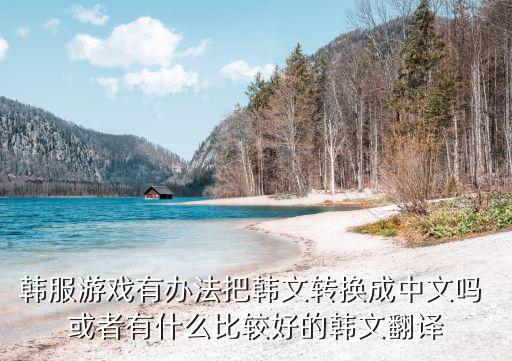 韩服游戏有办法把韩文转换成中文吗 或者有什么比较好的韩文翻译
