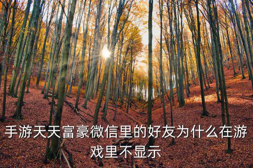 手游天天富豪微信里的好友为什么在游戏里不显示