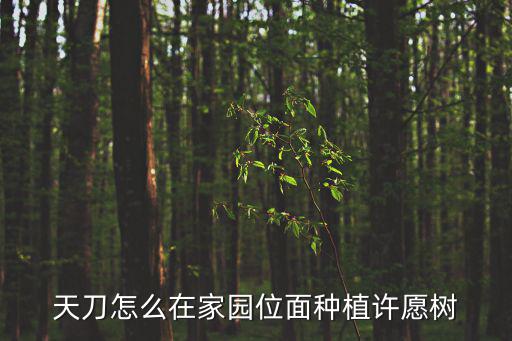 天刀手游家园里的许愿树怎么种植，天刀怎么在家园位面种植许愿树