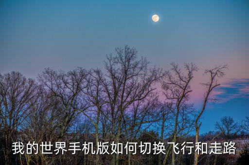 我的世界手机版如何切换飞行和走路
