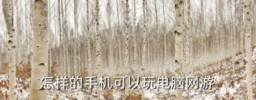怎样的手机可以玩电脑网游