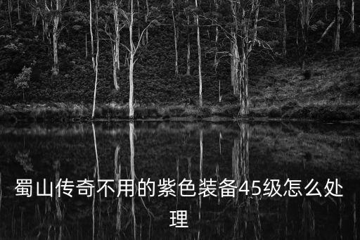 蜀山传奇不用的紫色装备45级怎么处理