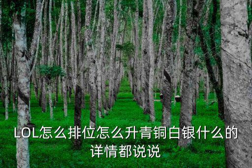 LOL怎么排位怎么升青铜白银什么的详情都说说