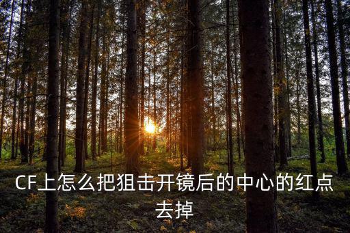 CF上怎么把狙击开镜后的中心的红点去掉