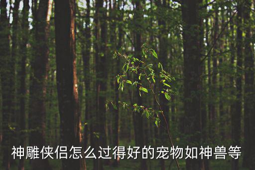 神雕侠侣怎么过得好的宠物如神兽等