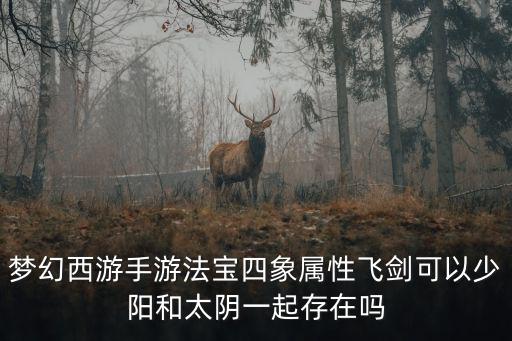 梦幻西游手游法宝四象属性飞剑可以少阳和太阴一起存在吗
