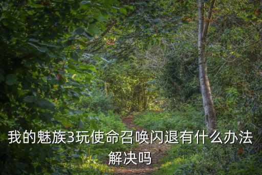 我的魅族3玩使命召唤闪退有什么办法解决吗