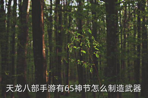 天龙八部手游有65神节怎么制造武器