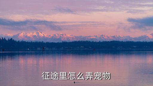 征途里怎么弄宠物