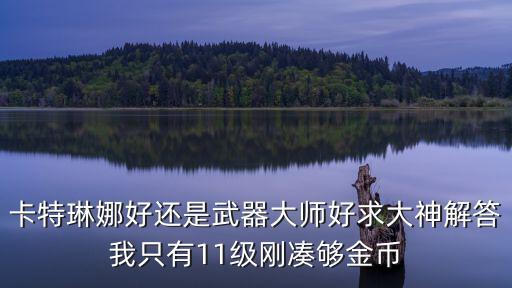卡特琳娜好还是武器大师好求大神解答我只有11级刚凑够金币