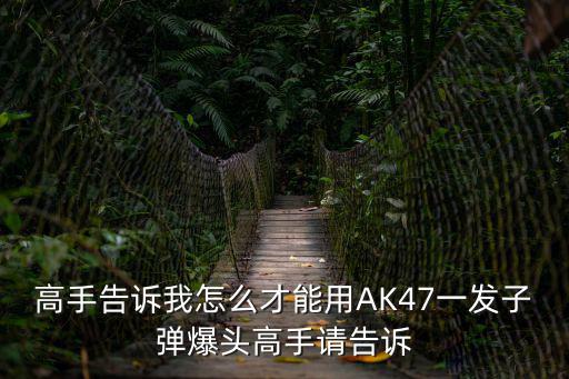 代号47手游怎么用一发子弹，杀手1代号47怎样操作