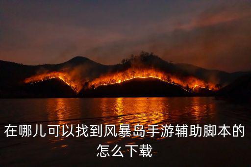 在哪儿可以找到风暴岛手游辅助脚本的怎么下载