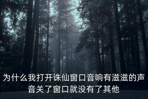诛仙手游画面有杂音怎么办，为什么我打开诛仙窗口音响有滋滋的声音关了窗口就没有了其他