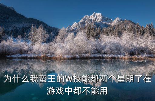 为什么我蛮王的W技能都两个星期了在游戏中都不能用