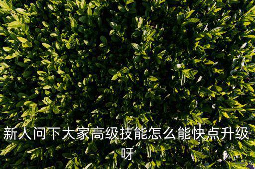 天龙八部手游高级技能怎么升级，怎样升级高级技能