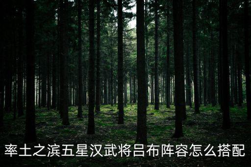 率土之滨手游吕布怎么玩，率土之滨吕布技能选择什么战法搭配好
