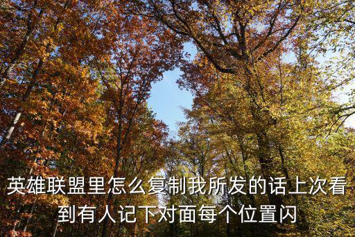 英雄联盟里怎么复制我所发的话上次看到有人记下对面每个位置闪