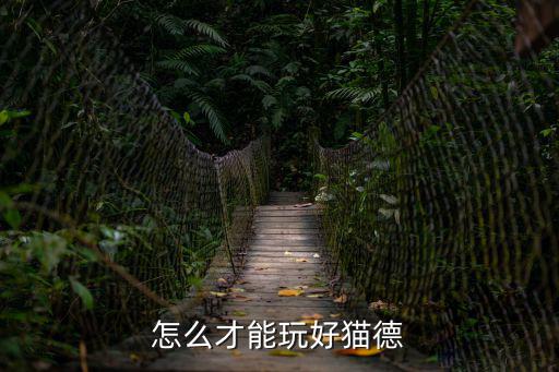 怎么才能玩好猫德
